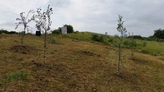 Lavori al presidio: costruiamo il parco della piana